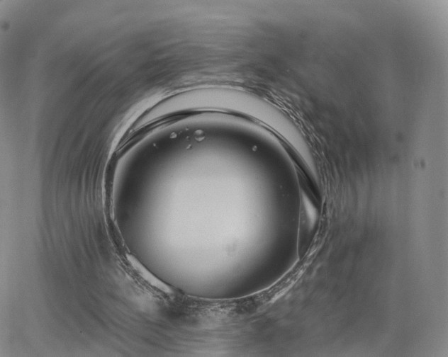 X0000063490148200601231421