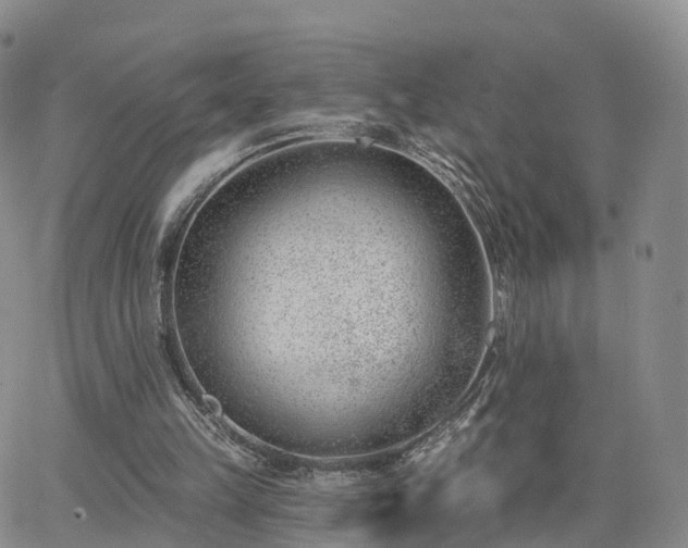 X0000063490149200601231421