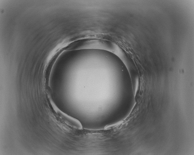 X0000063490150200601231421