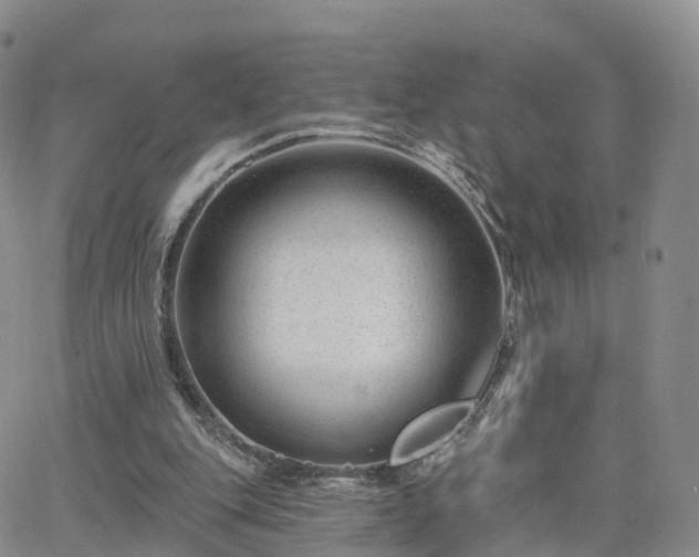 X0000063490151200601231421