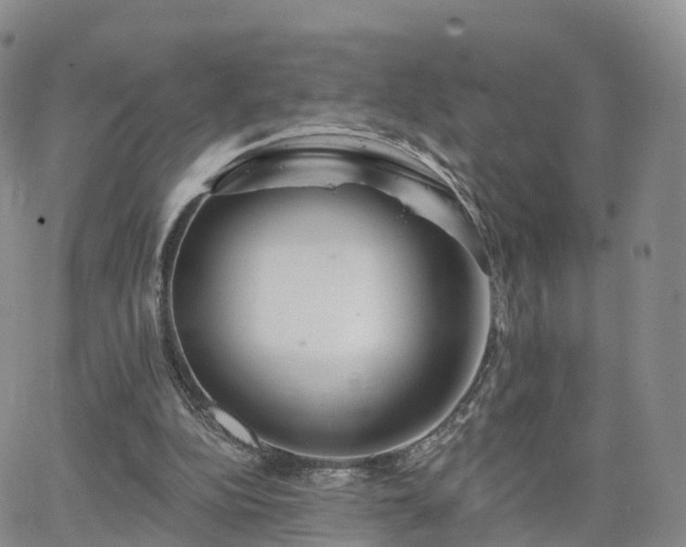 X0000063490152200601231421