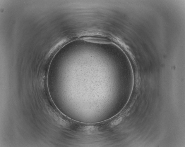 X0000063490153200601231421