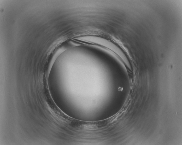 X0000063490154200601231421