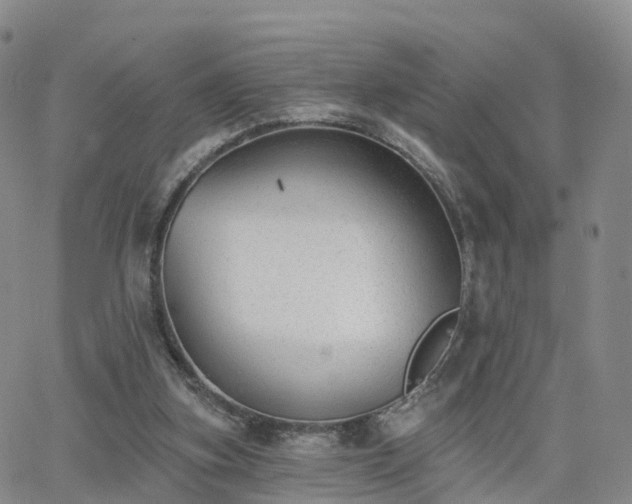 X0000063490155200601231421