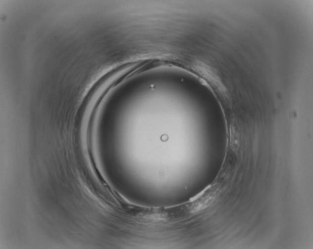 X0000063490156200601231421