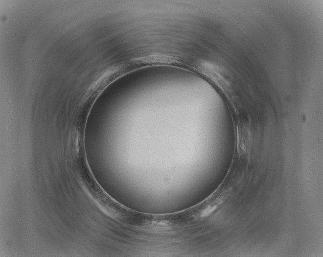 X0000063490157200601231421