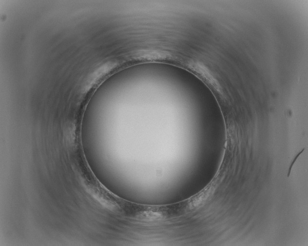 X0000063490159200601231421