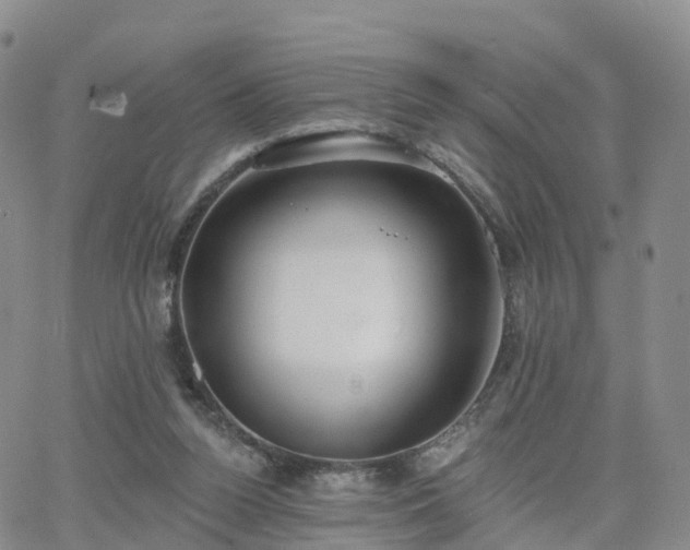 X0000063490160200601231421