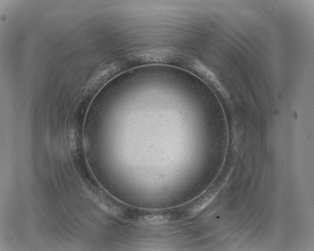 X0000063490161200601231421