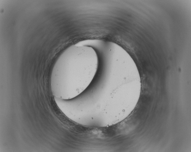 X0000063490162200601231421