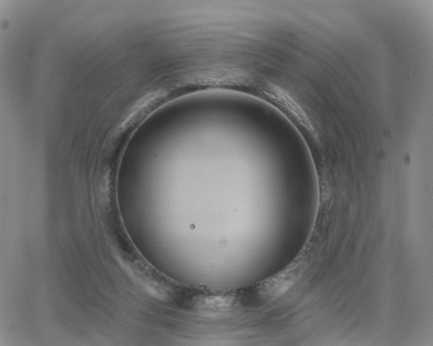 X0000063490163200601231421