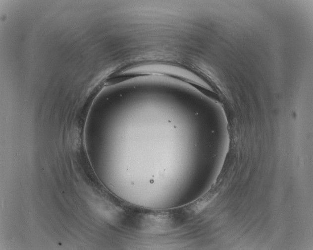 X0000063490164200601231421