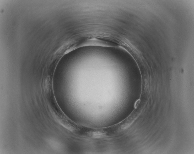 X0000063490165200601231421