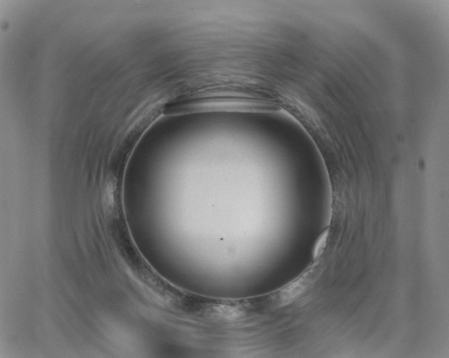 X0000063490166200601231421