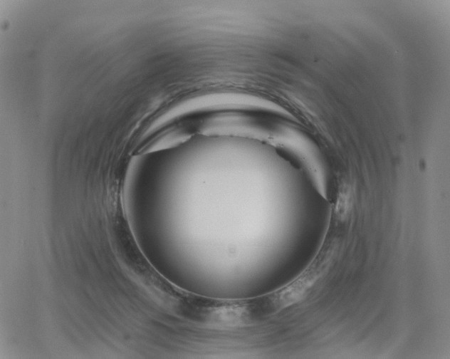 X0000063490168200601231421