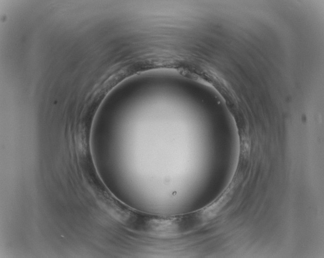 X0000063490170200601231421