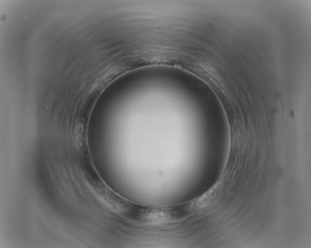 X0000063490171200601231421