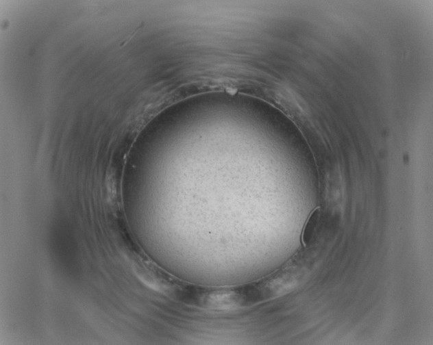 X0000063490173200601231421