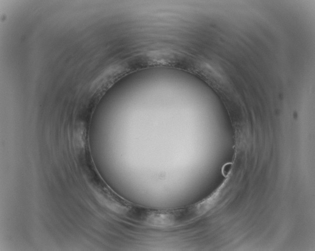 X0000063490174200601231421