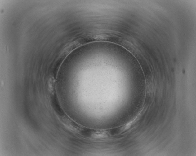 X0000063490175200601231421