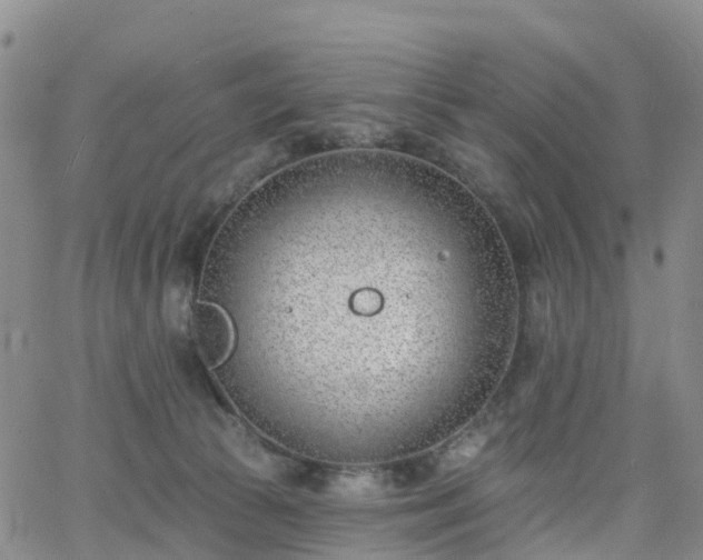 X0000063490177200601231421