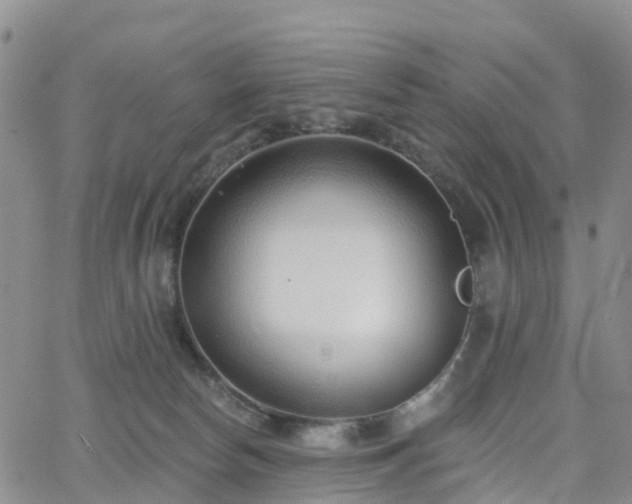 X0000063490178200601231421