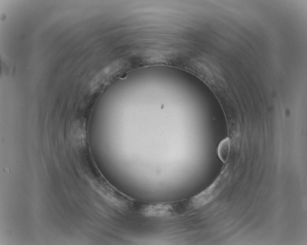 X0000063490179200601231421