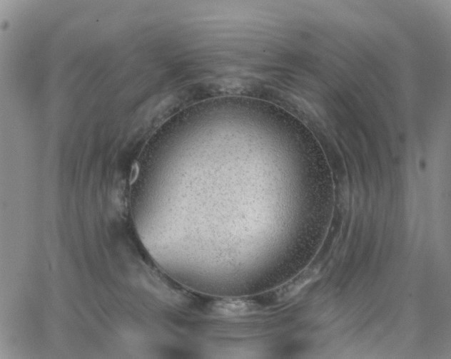 X0000063490181200601231421