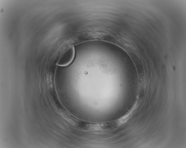 X0000063490182200601231421