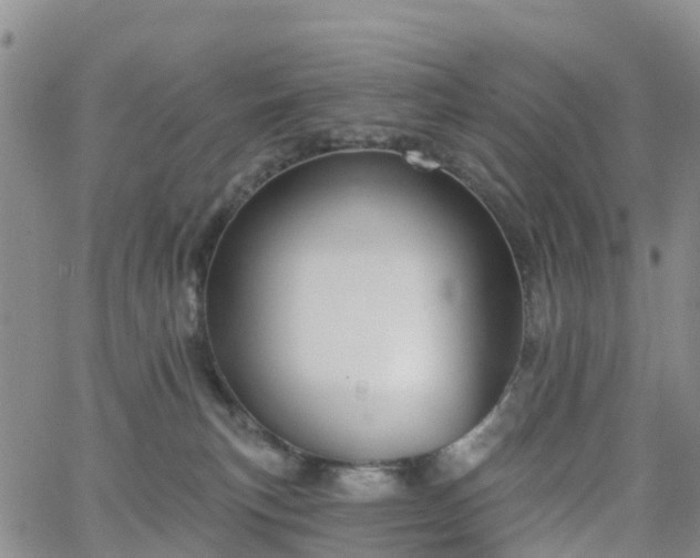 X0000063490183200601231421