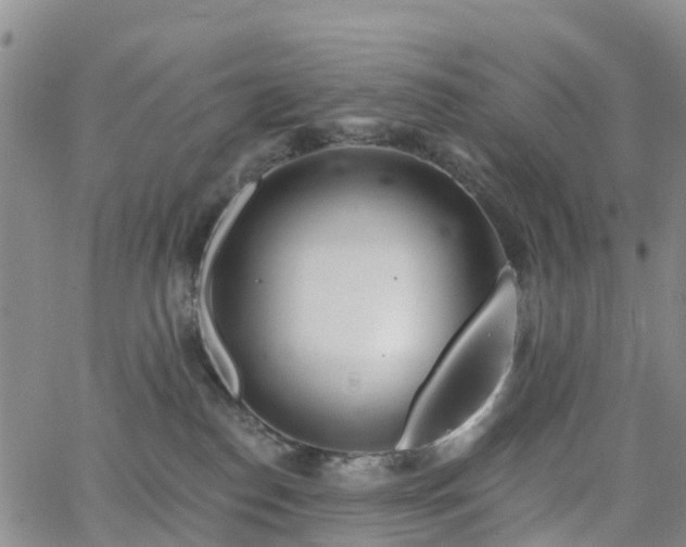 X0000063490186200601231421