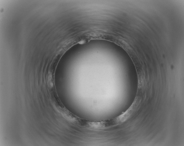 X0000063490187200601231421