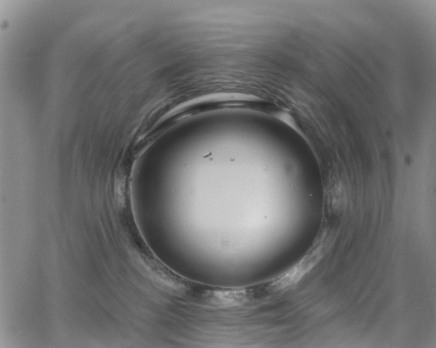 X0000063490188200601231421