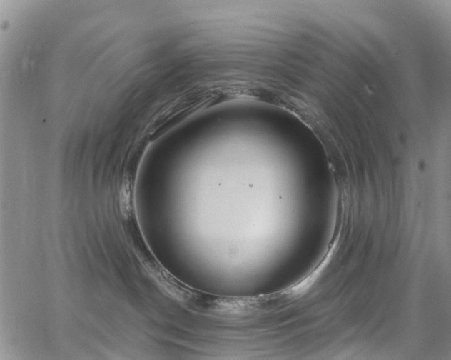 X0000063490190200601231421