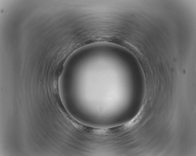 X0000063490192200601231421