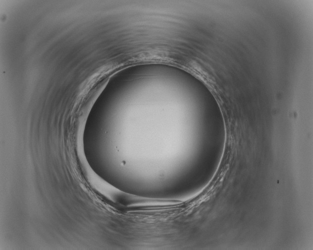 X0000063490193200601231420