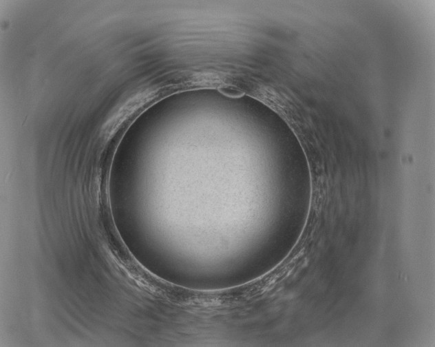 X0000063490194200601231420