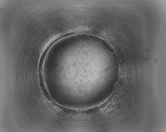 X0000063490196200601231420