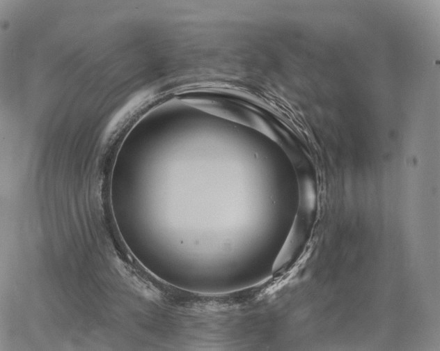 X0000063490197200601231420