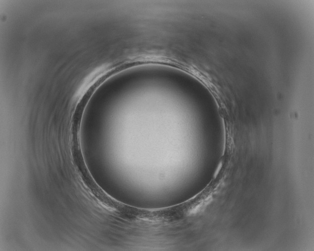 X0000063490199200601231420