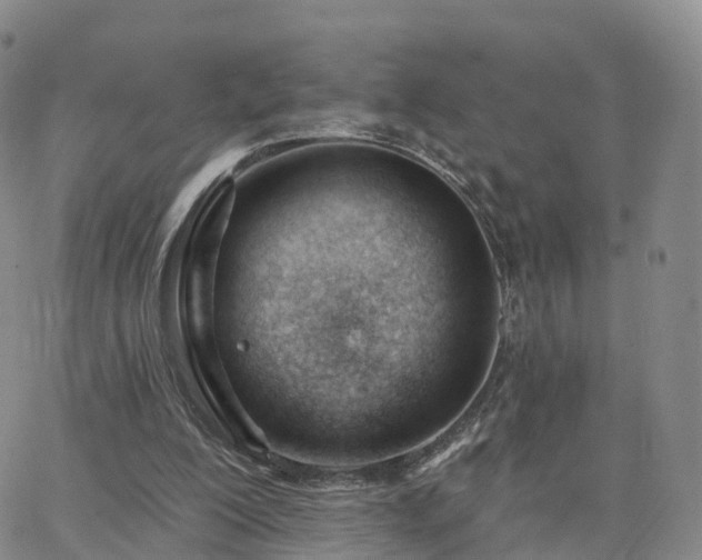 X0000063490200200601231420