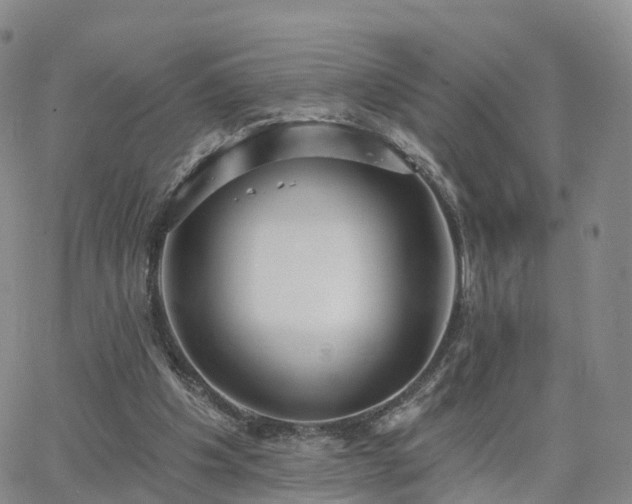 X0000063490201200601231420