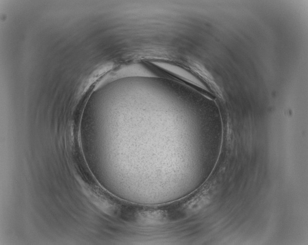 X0000063490202200601231420