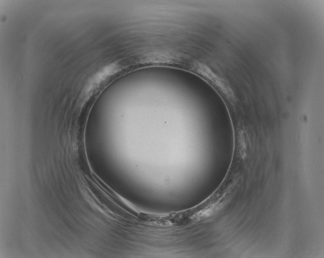 X0000063490203200601231420