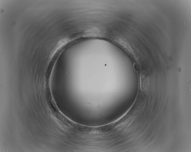 X0000063490204200601231420