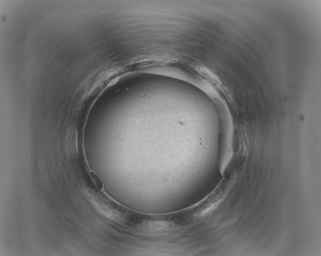 X0000063490205200601231420