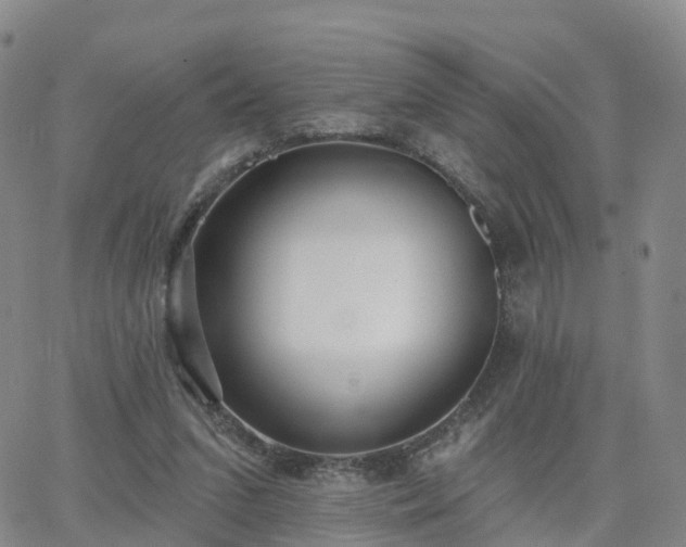 X0000063490207200601231420