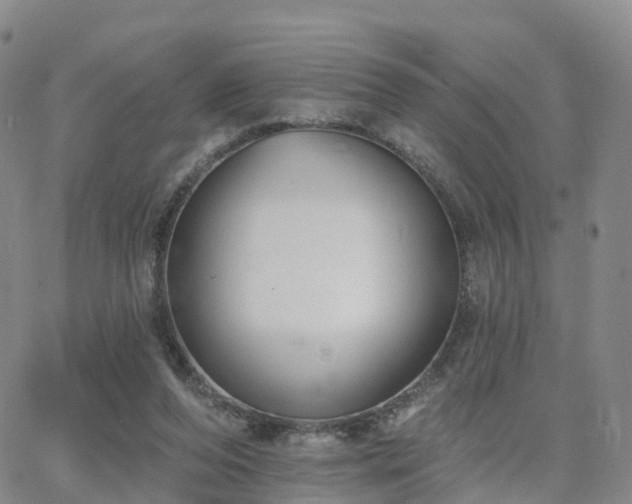 X0000063490208200601231420