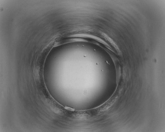 X0000063490209200601231420