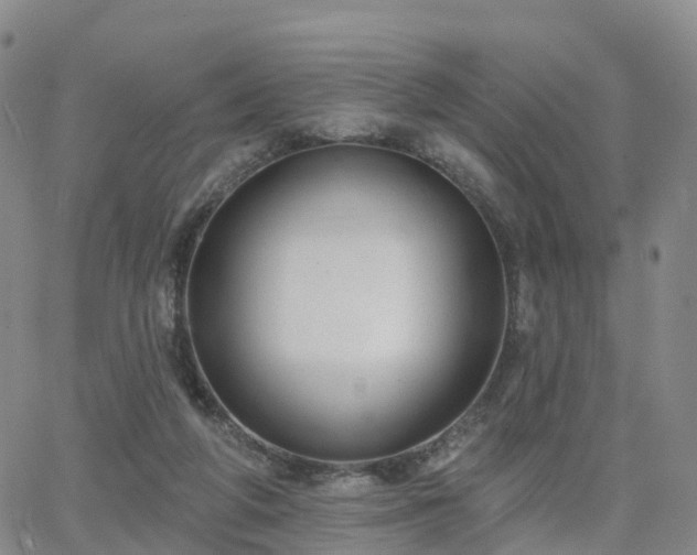 X0000063490210200601231420